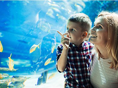 Things To Do https://gardencityrealty.icnd-cdn.com/images/thingstodo/E8467B30-AD69-735A-215D8A3468CAB9C3Ripleys Aquarium.jpg